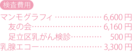 検査費用：マンモグラフィ+視触診4000円＋税