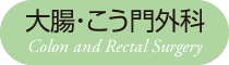 大腸・こう門外科